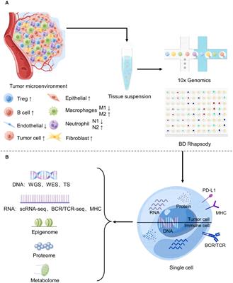 Application of single-cell sequencing to the research of tumor microenvironment